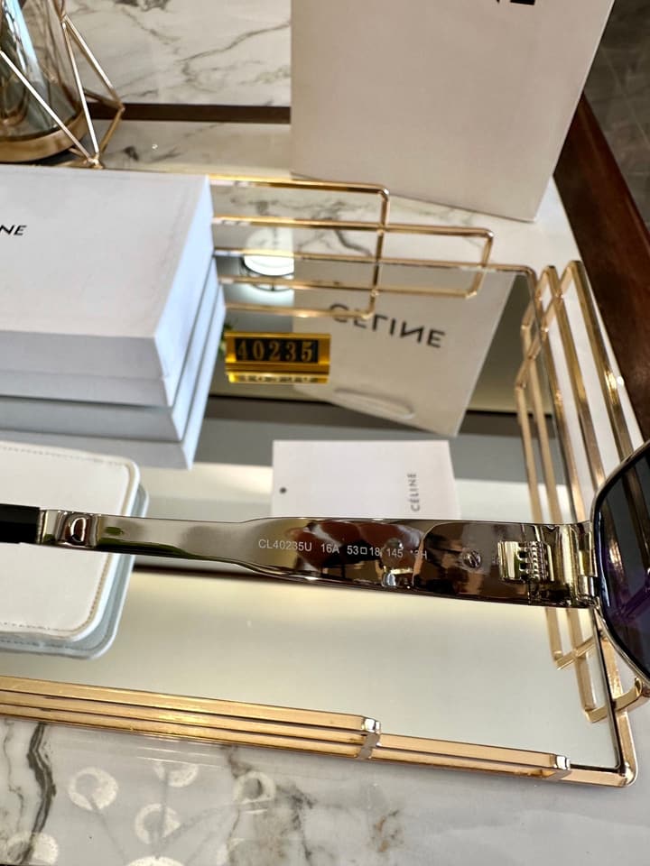 Celine Polarized Acetate Sunglasses