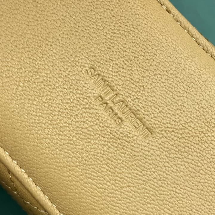 Saint Laurent Gaby Mini Vanity Bag in Apricot