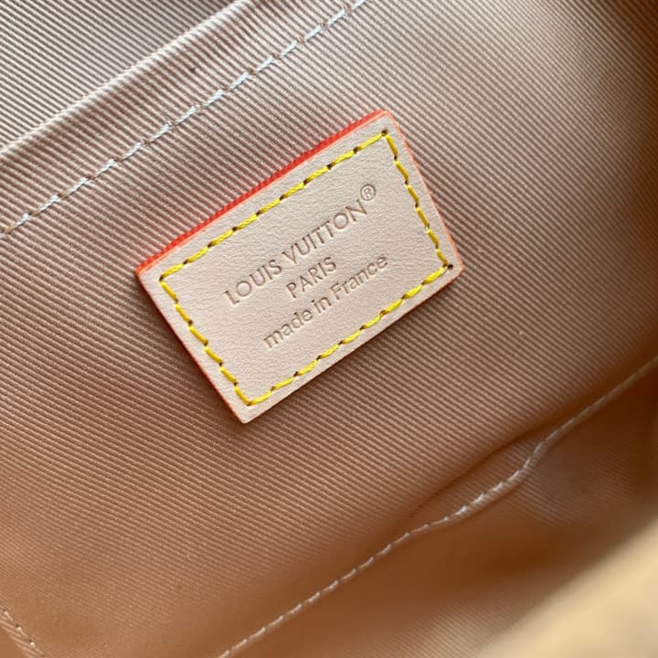 Louis Vuitton Cluny Mini Handbag in Monogram Canvas With Natural Leather Trim