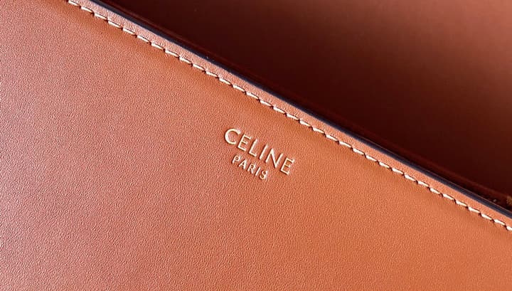 Celine Triomphe Box Calfskin Bag in Burnt Orange