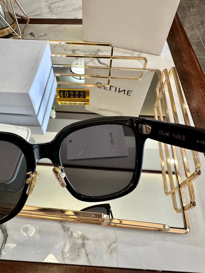 Celine Acetate Polarized Sunglasses