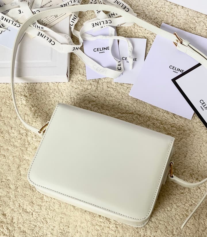 Celine Triomphe Box Calfskin Bag in Burnt Orange