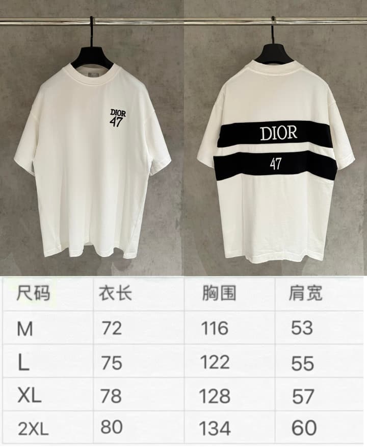 Dior Patch Embroidered Heavyweight T-Shirt in Black