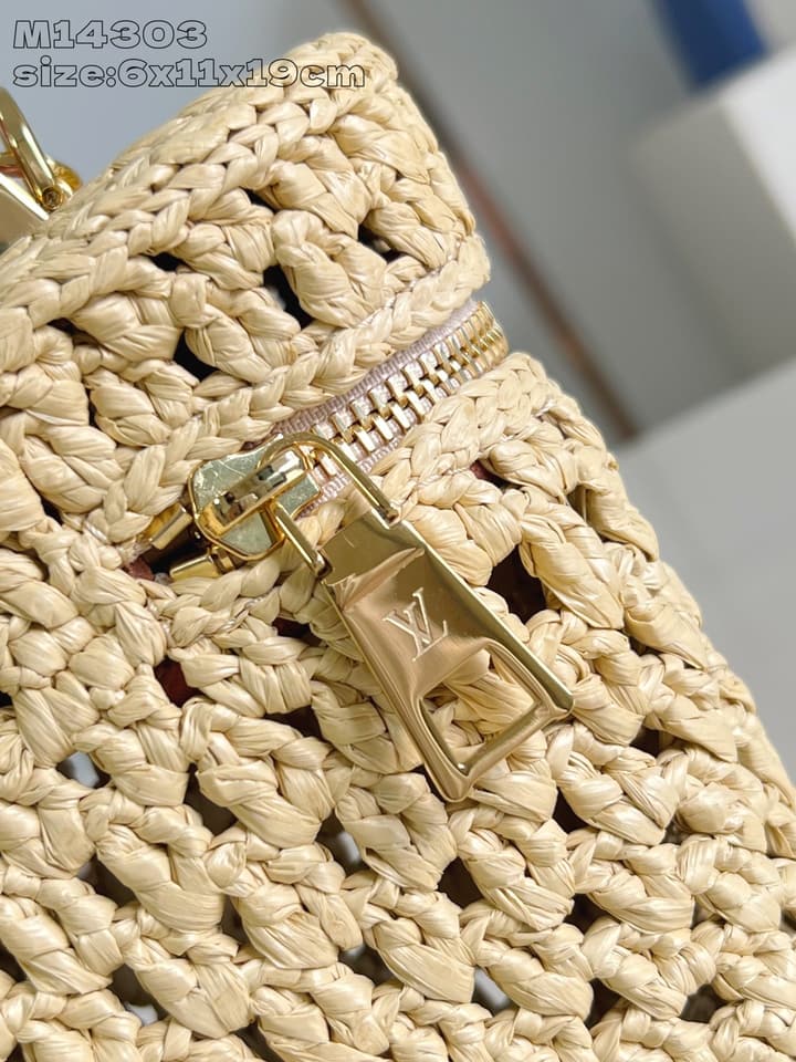 Louis Vuitton Vanity Chain Pouch – 2024 Collection