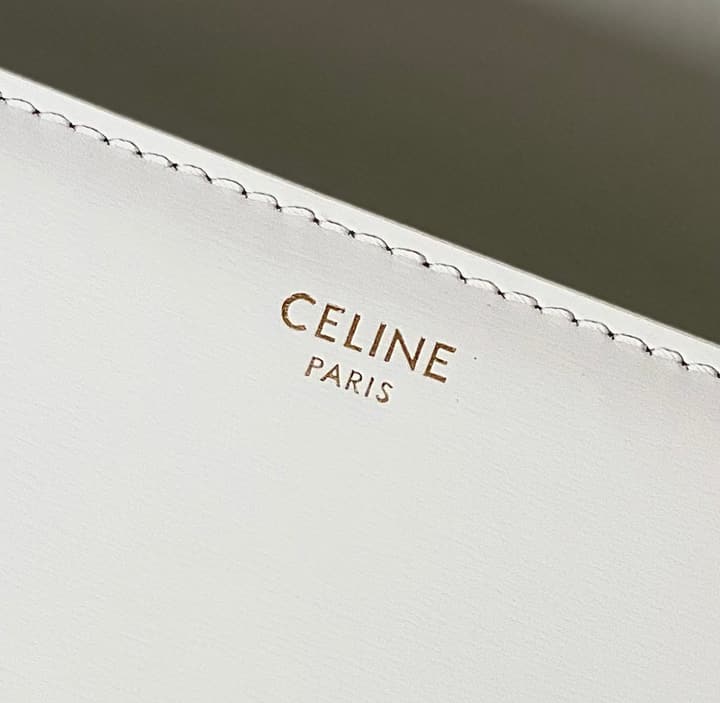 Celine Triomphe Box Calfskin Bag in Burnt Orange