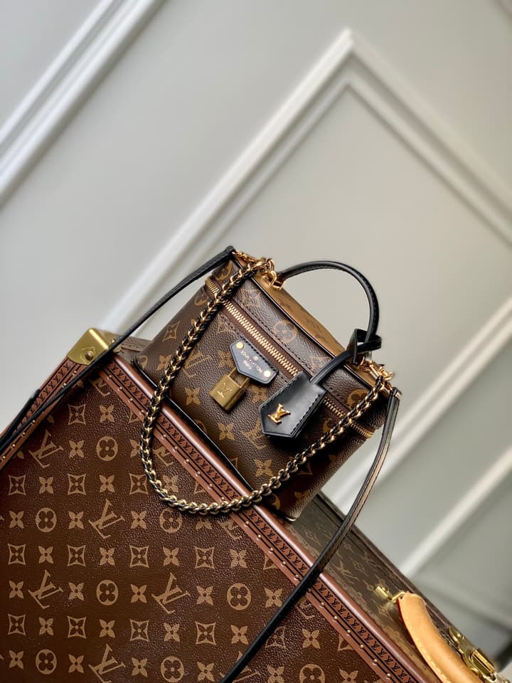 Louis Vuitton Vanity Chain Pouch