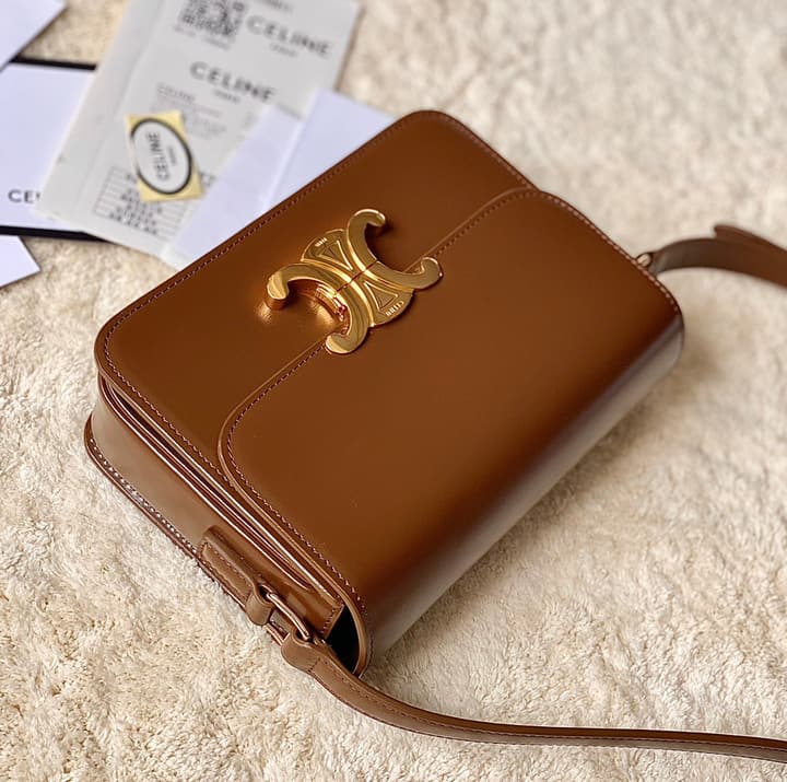 Celine Triomphe Box Calfskin Bag in Burnt Orange