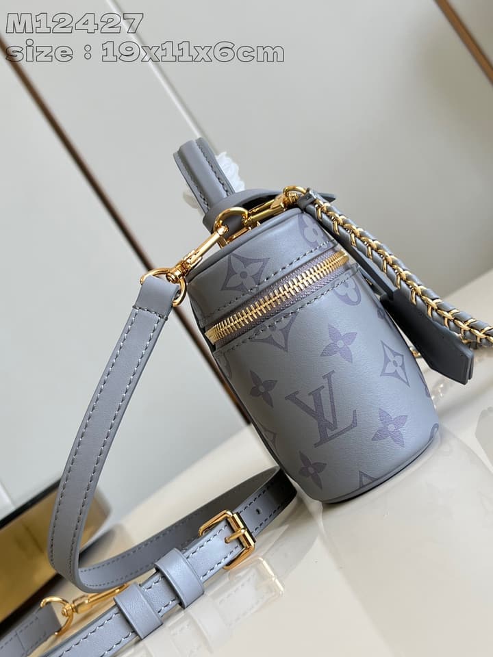 Louis Vuitton Vanity Chain Pouch Handbag – Fall/Winter 2024