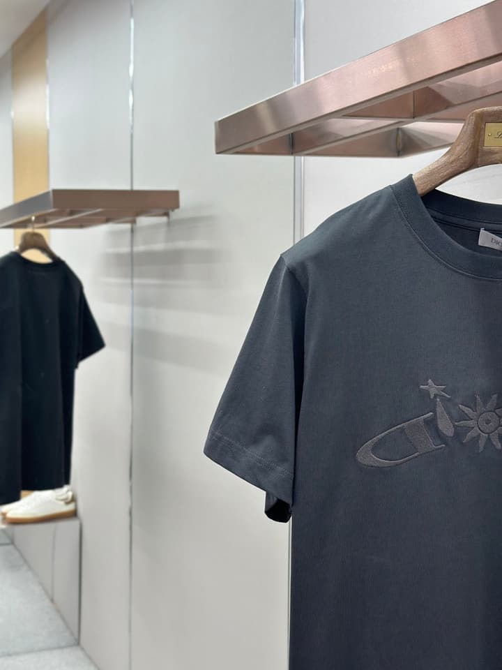 Dior Pattern Embroidered Crewneck T-Shirt in Washed Grey