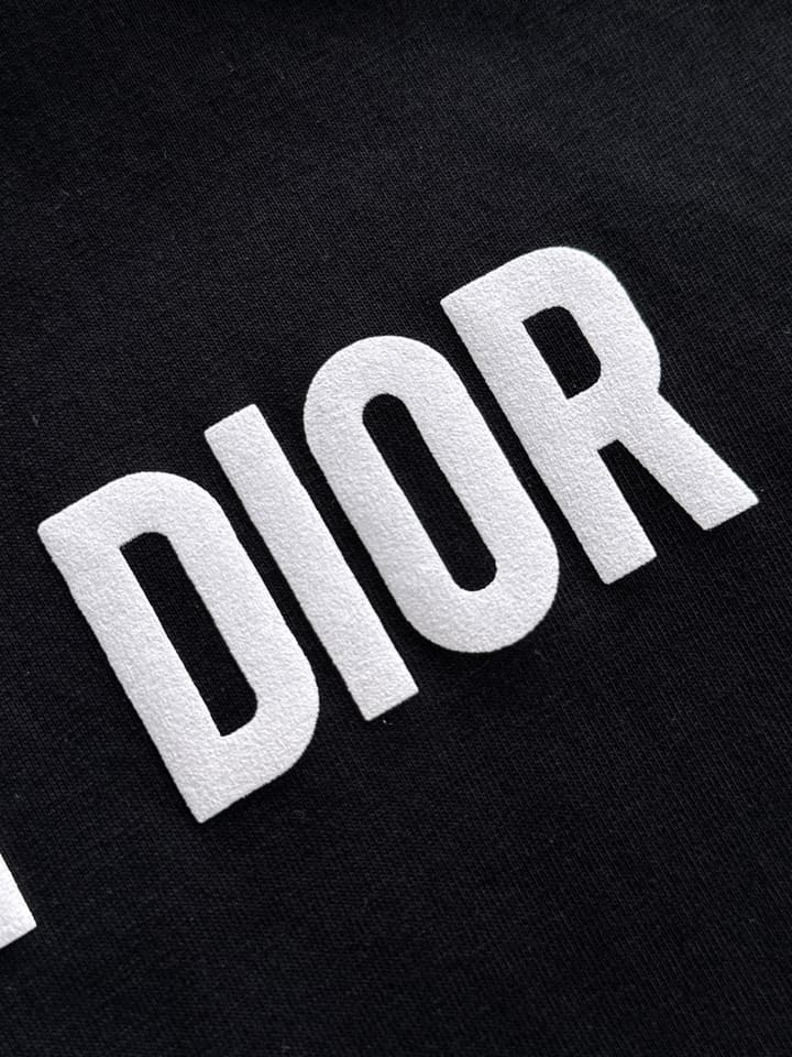 Dior Leaf Embroidery Flocked CD Logo T-Shirt – 2025 in Black
