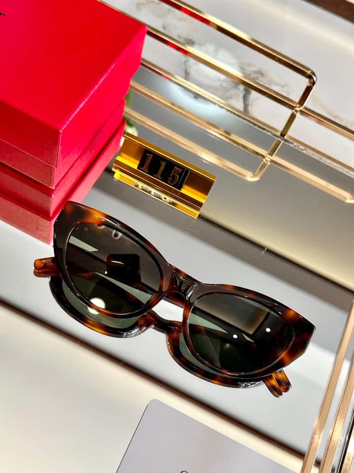 Saint Laurent Acetate Polarized Sunglasses