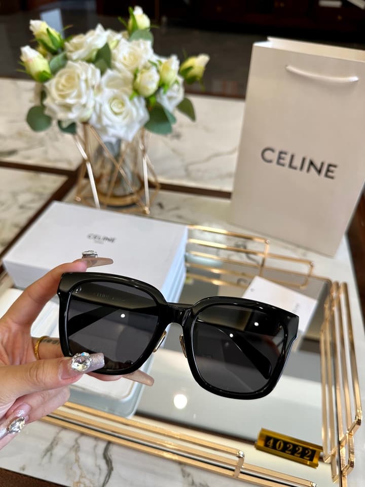 Celine Acetate Polarized Sunglasses