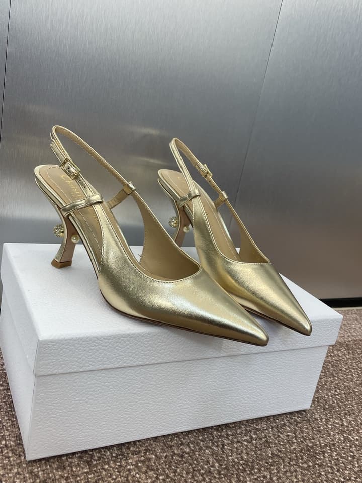 Dior Tribales Pearl Logo Heeled Mules – 2025 Spring/Summer Collection in Gold