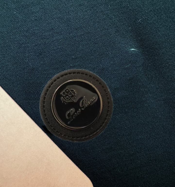 Loro Piana Solid Long Sleeve Polo Shirt – Autumn/Winter Collection in Black