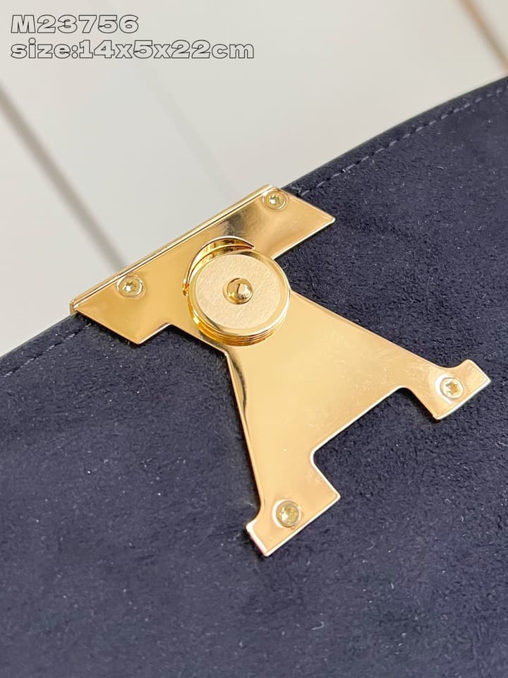 Louis Vuitton Pochette Louise Chain Bag in Beige