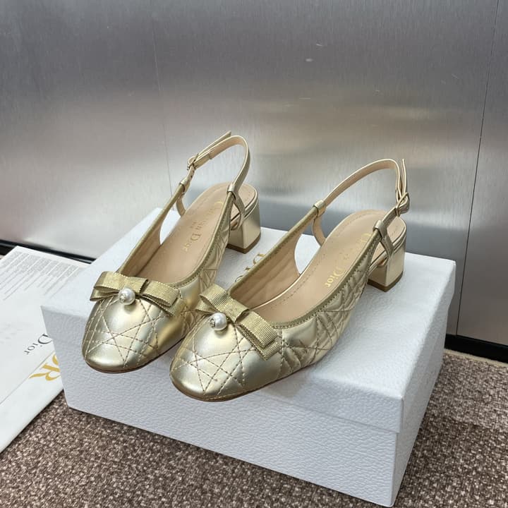 Dior Ballet Cannage Low-Heel Ballerina Flats – 2024 Spring/Summer Collection in Black Patent