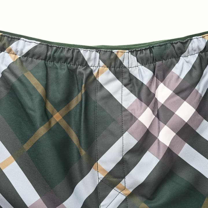 Burberry Check Mesh-Lined Swim Trunks in Green