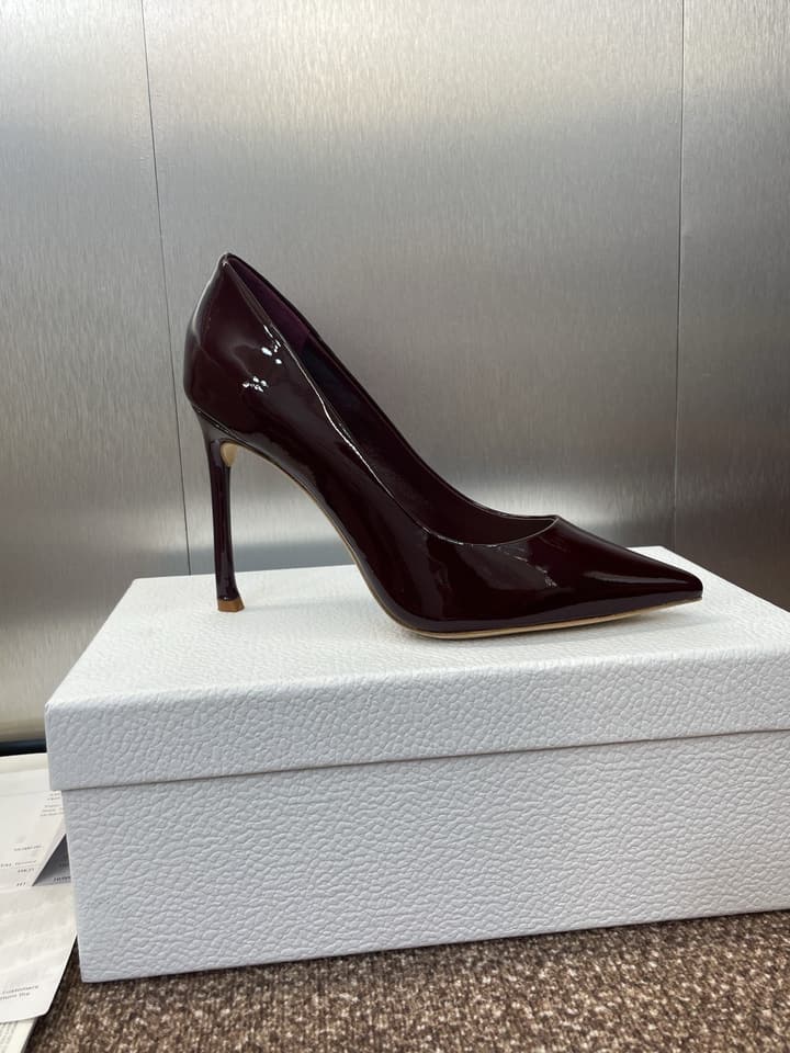 Dior CD Logo Pointed Toe Pumps – 2025 Spring/Summer Haute Couture Collection in Shiny Black Flat