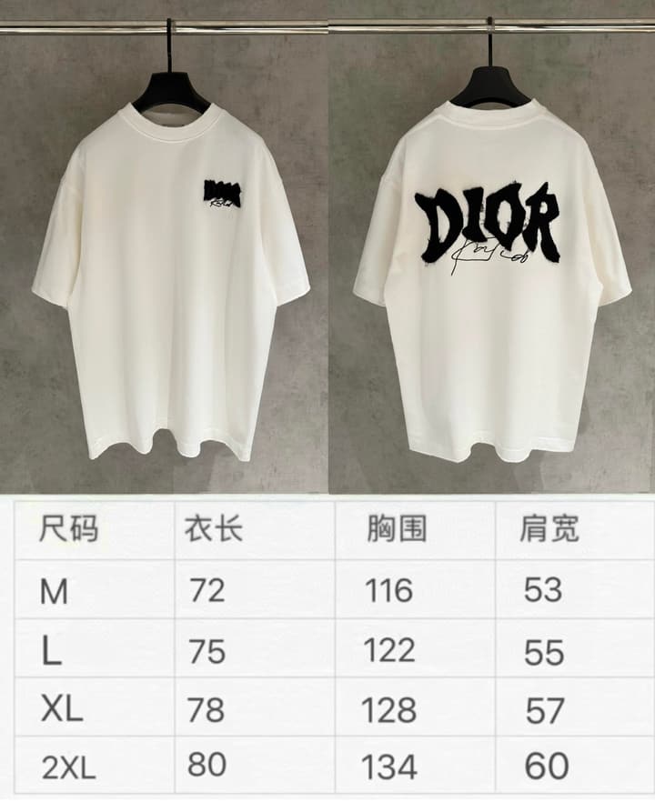Dior Patch Embroidered Heavyweight T-Shirt in Grey
