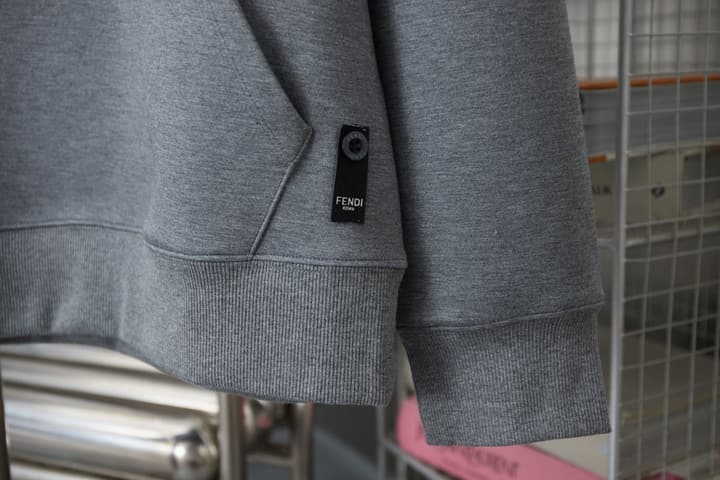 Fendi FF Logo Embroidered Hooded Sweatshirt – 25FW in Grey Hoodie