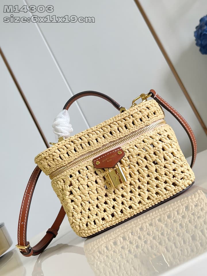 Louis Vuitton Vanity Chain Pouch – 2024 Collection