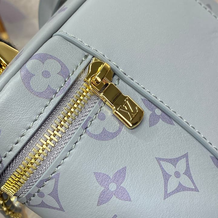 Louis Vuitton Monogram Vanity Chain Pouch – FW24
