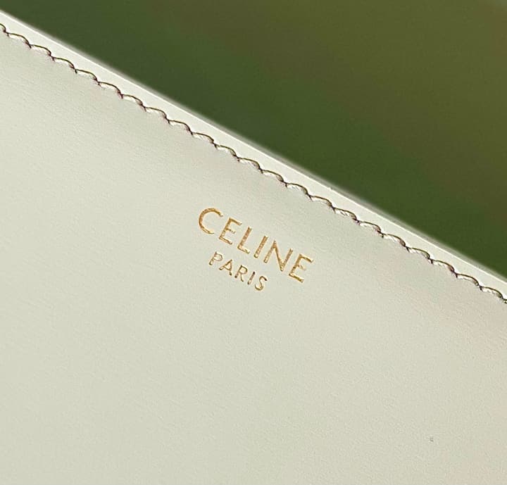 Celine Triomphe Box Calfskin Bag in Burnt Orange