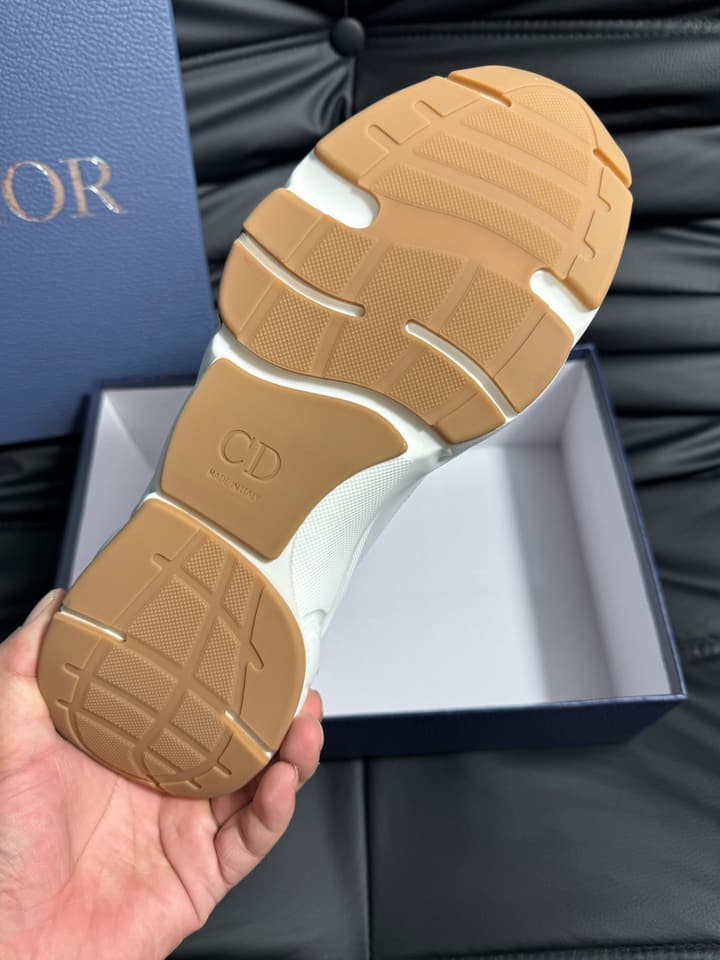 Dior B22 Calfskin Sneakers in Black