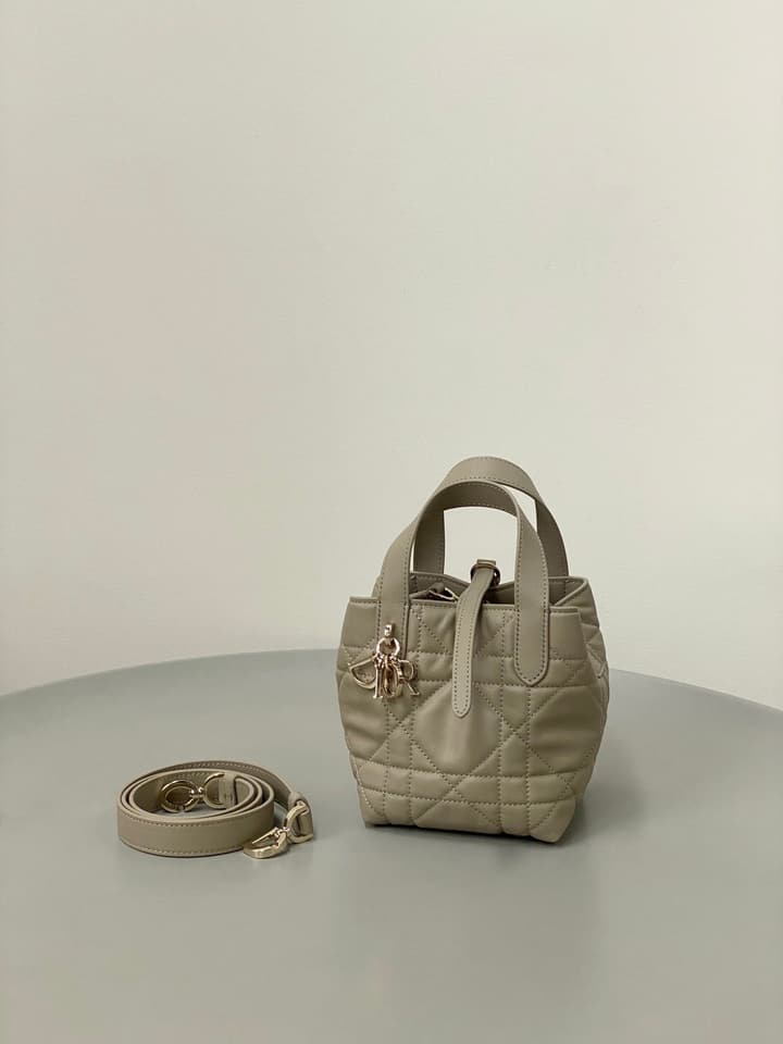 Dior Toujours Mini Vertical Bucket Bag