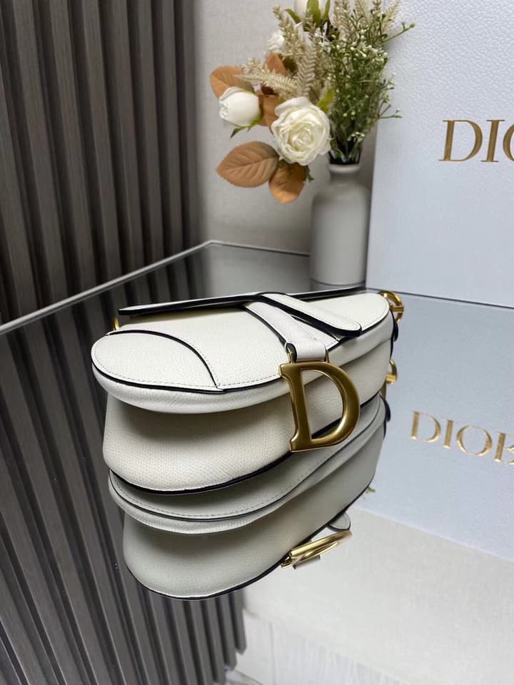 Dior Saddle Bag in Beige