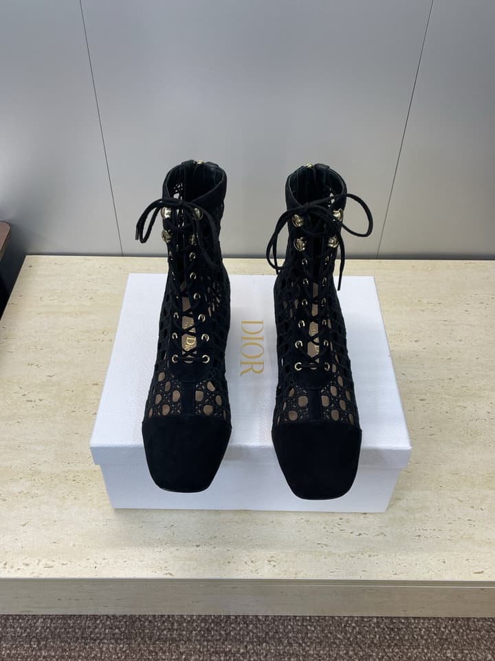Dior D-Lcon Embroidered Ankle Boots – 2025FW in Black Mesh High Heel (9cm)