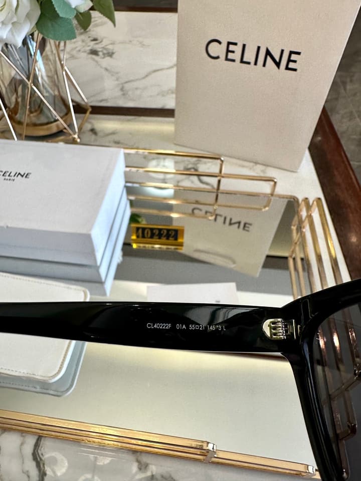Celine Acetate Polarized Sunglasses