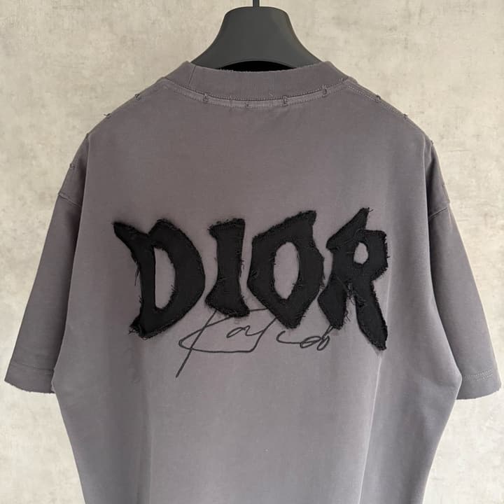 Dior Patch Embroidered Heavyweight T-Shirt in Grey