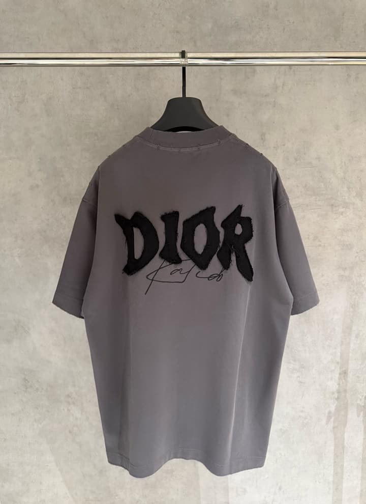 Dior Patch Embroidered Heavyweight T-Shirt in Grey