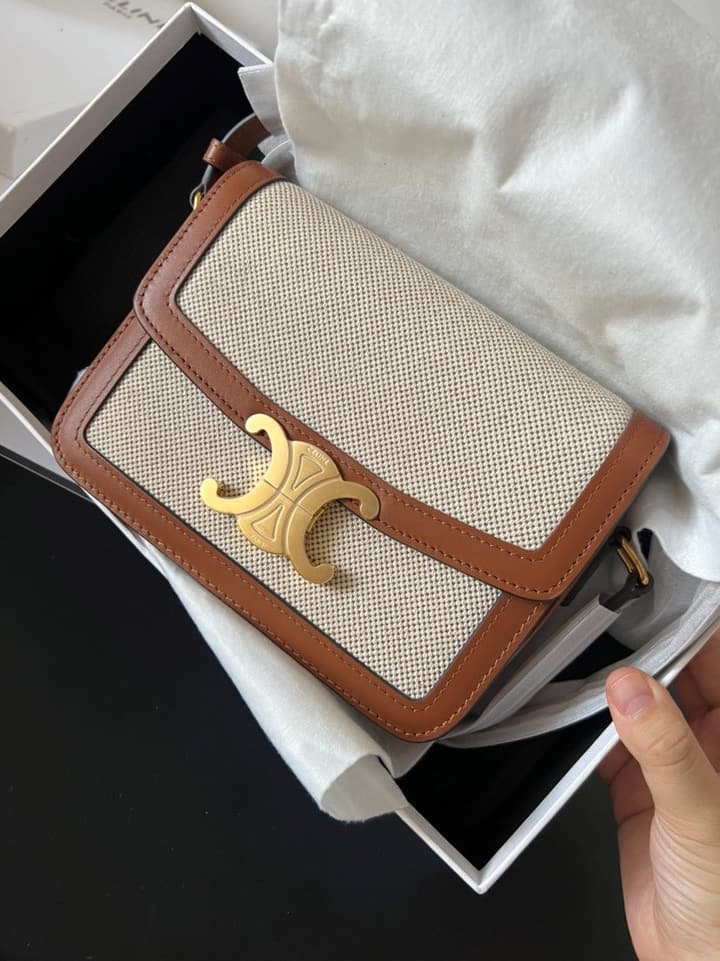 Celine Triomphe Teen Box Leopard Handbag