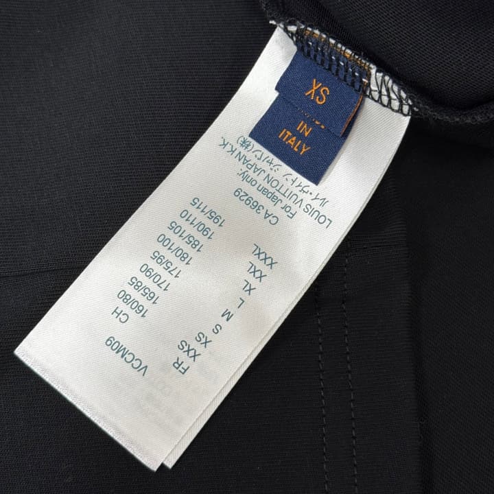Louis Vuitton Embroidered Logo Oversized T-Shirt – Summer Collection – 26SS in Apricot Colorful LV Lovers