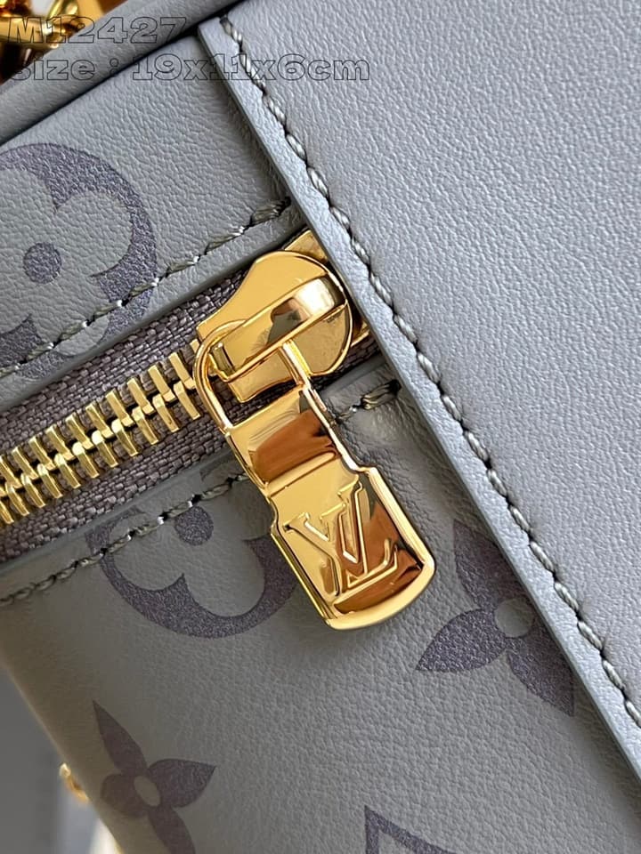 Louis Vuitton Vanity Chain Pouch Handbag – Fall/Winter 2024
