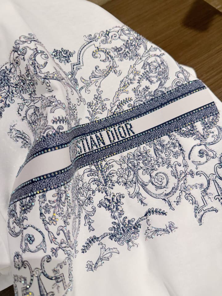 Dior Butterfly and Letter Print Rhinestone T-Shirt in White With Blue Print