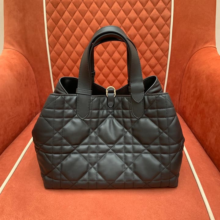 Dior Cest Dior Bucket Bag – 2023 Autumn Collection