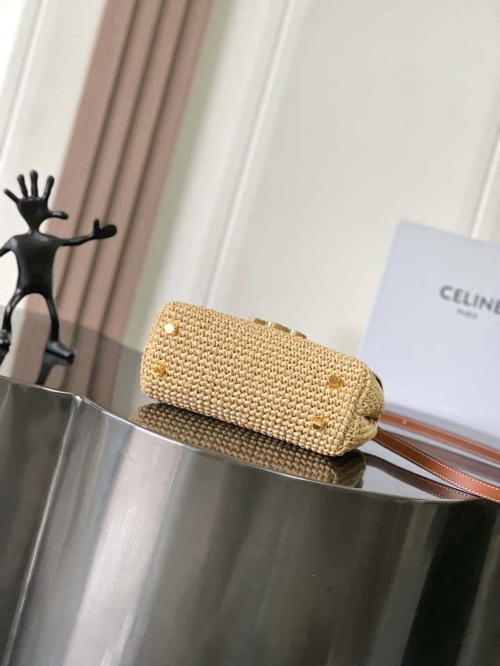 Celine Teen Nino Woven Triomphe Handbag