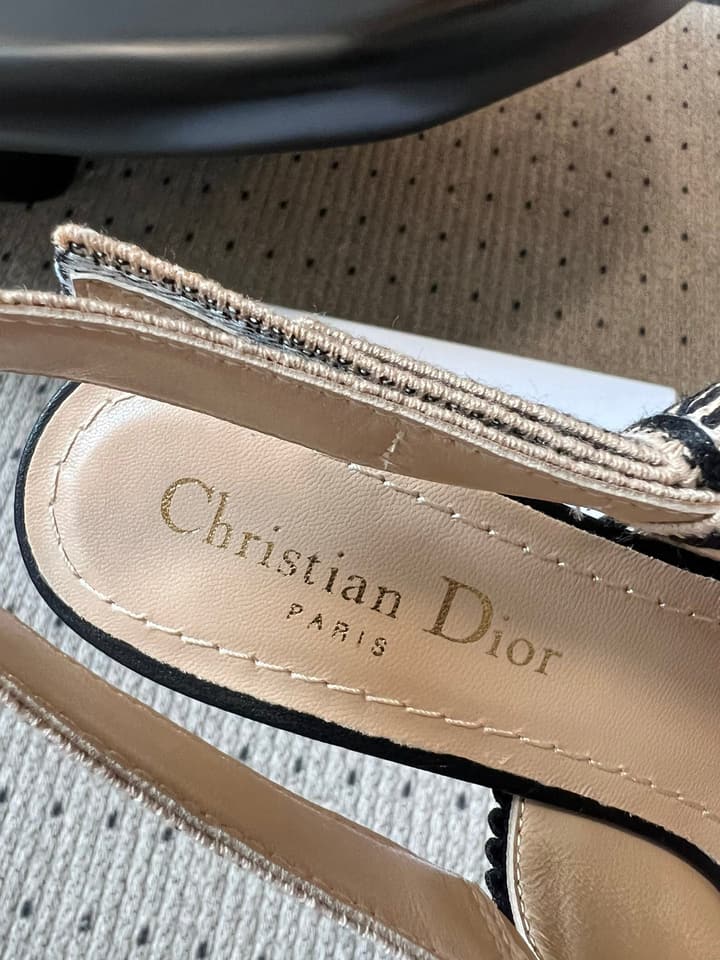 Dior Classic Multi-Color Embroidered Pumps in Black Silver Sparkle