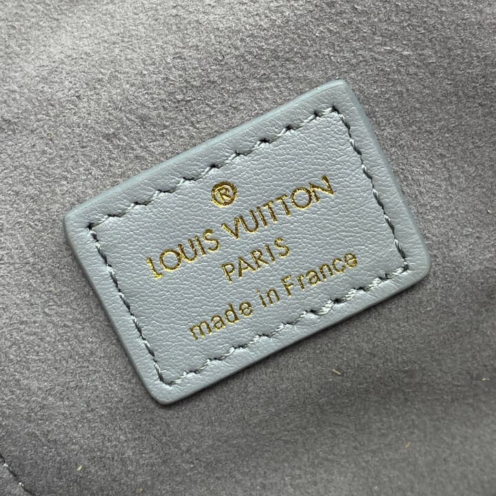 Louis Vuitton Monogram Vanity Chain Pouch – FW24