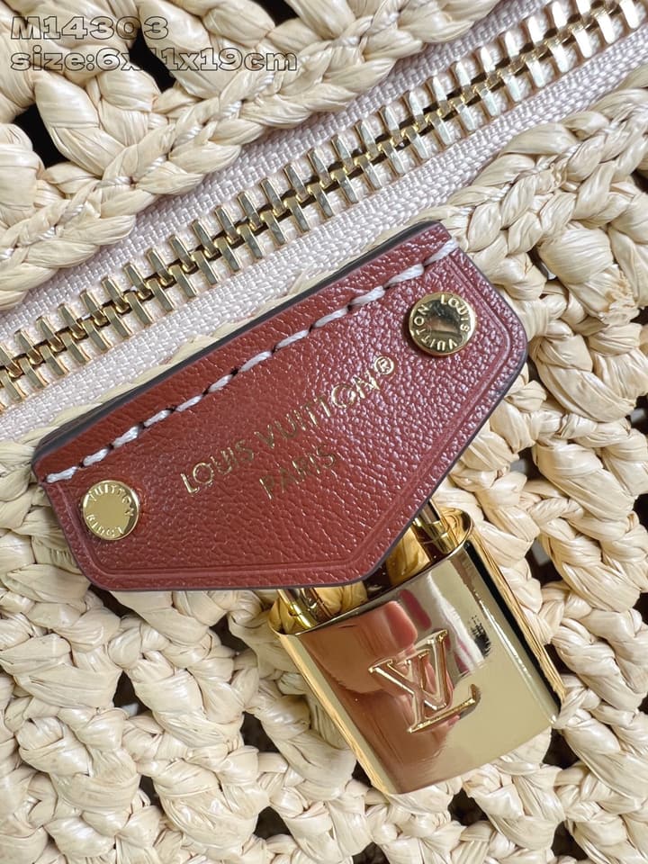 Louis Vuitton Vanity Chain Pouch – 2024 Collection