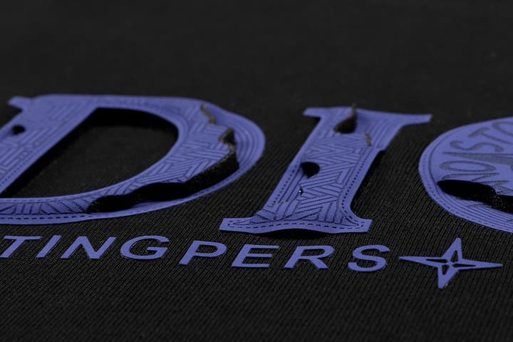 Dior x Stone Island Distressed Logo T-Shirt – 2025SS in Black