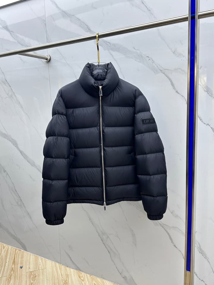 Dior Stand Collar Goose Down Puffer Jacket – 25FW in Classic Black Puffer