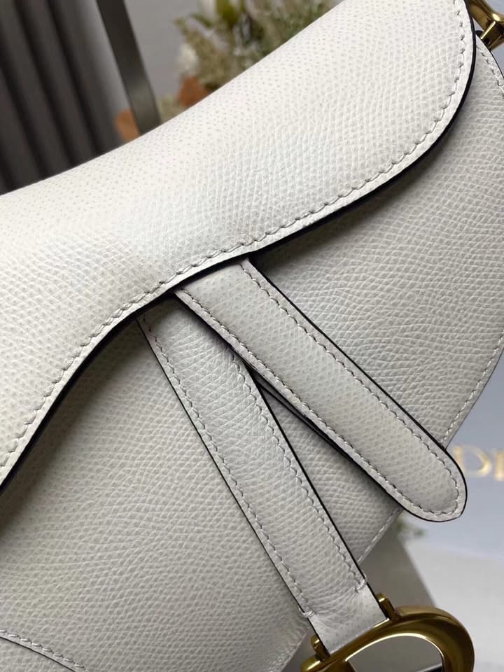 Dior Saddle Bag in Beige