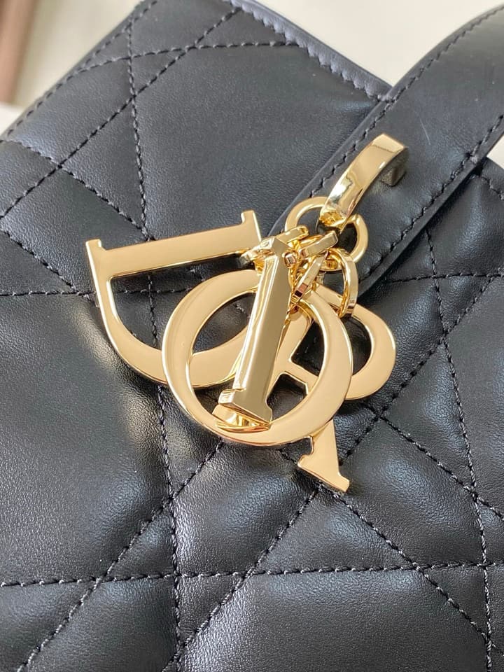Dior Toujours Vertical Handbag
