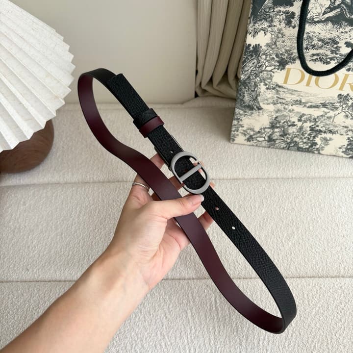 Dior Reversible Calfskin CD Buckle Belt in Black/burgundy With Gold Hardware