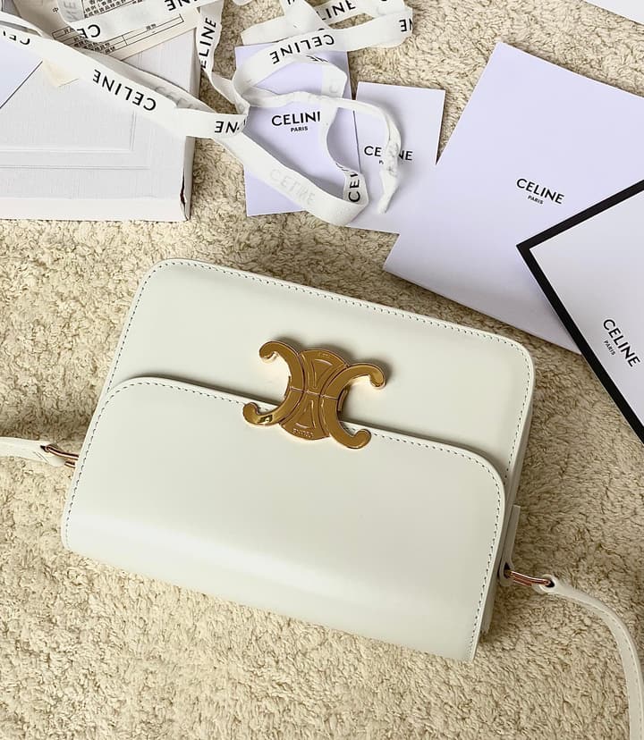 Celine Triomphe Box Calfskin Bag in Burnt Orange