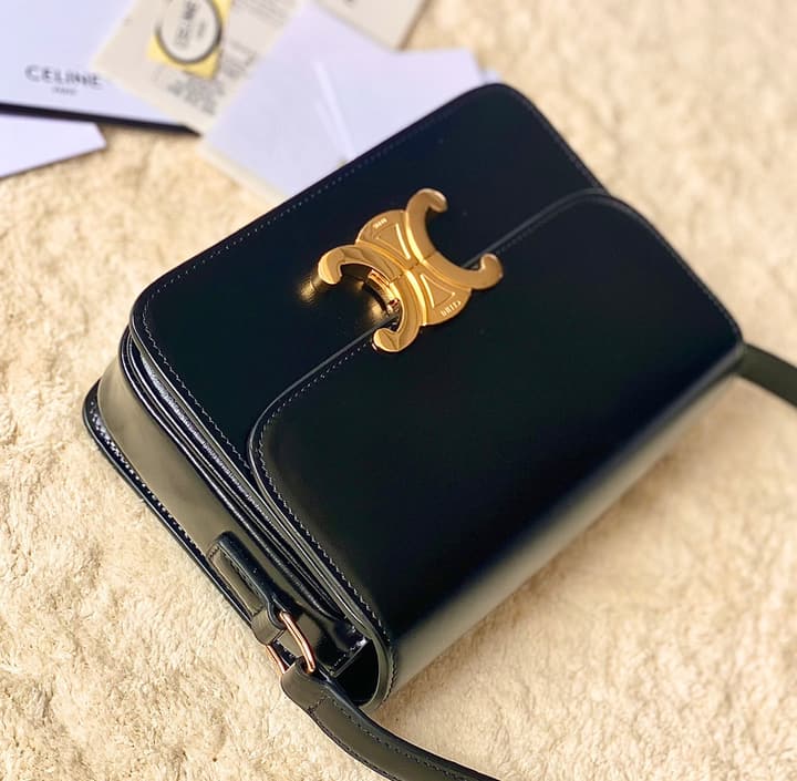 Celine Triomphe Box Calfskin Bag in Burnt Orange